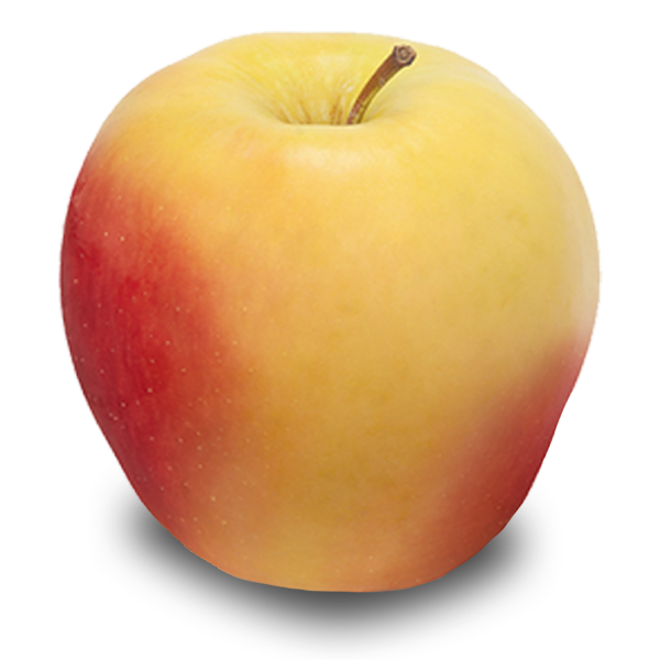 Ambrosia apple