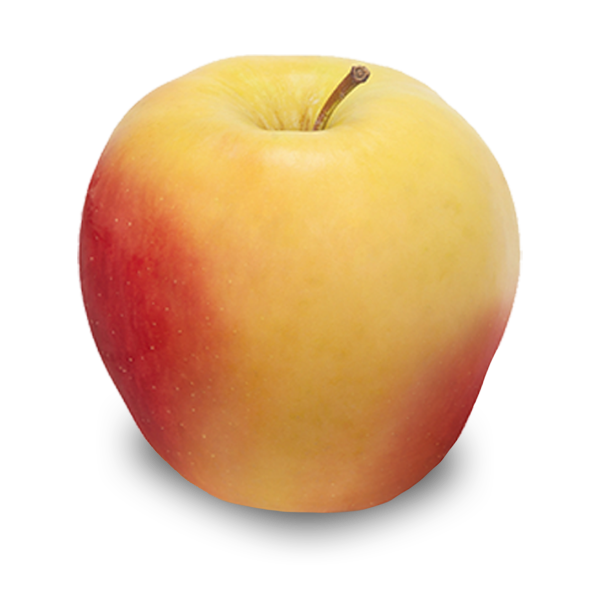 Ambrosia Apples - Ambrosia Apple Growers
