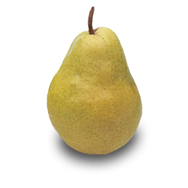 Washington State Pear Growers - Organic Pears - Washington Fruit Growers