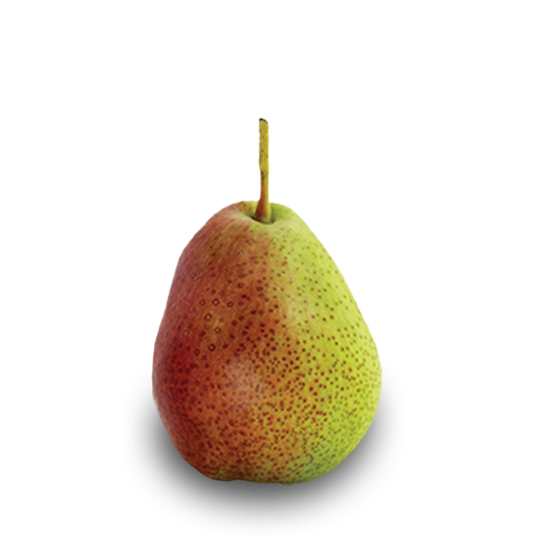 Forelle Pears - Washington Forelle Pear Growers