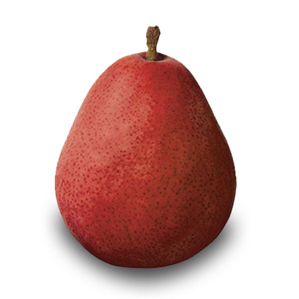 Red D'Anjou Pears - Washington Red D'Anjou Pear Growers