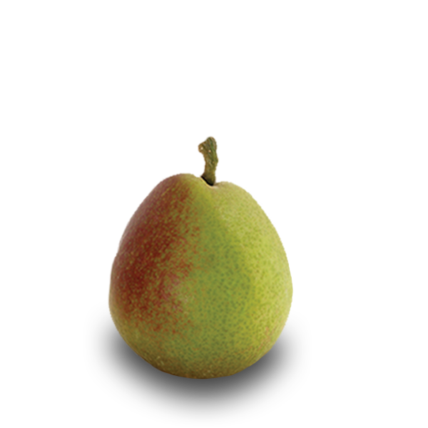 Seckel Pears - Washington Seckel Pear Growers - Washington Fruit Growers