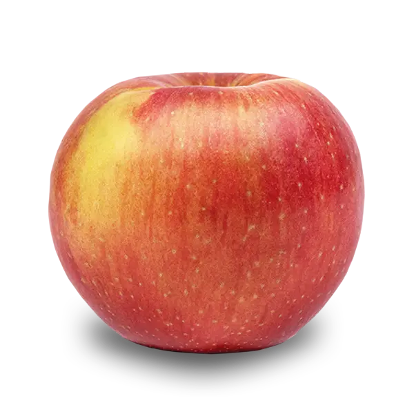 EverCrisp Apples - EverCrisp Apple Growers - Washington Fruit Growers