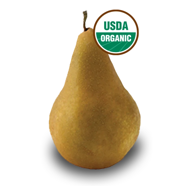Bosc pear