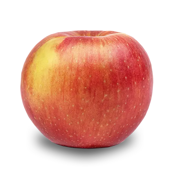 Evercrisp apple