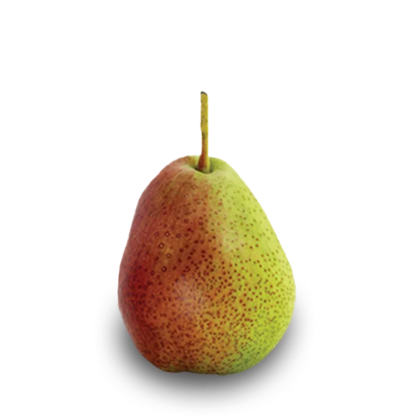 Forelle pear