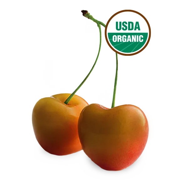 Rainier cherries