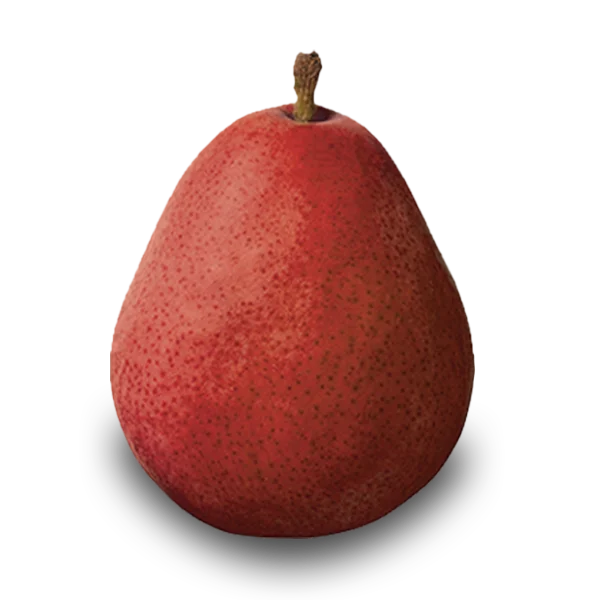 Red D'Anjou pear