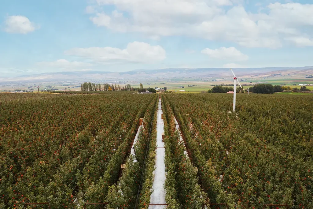 Sustainability - Caring for our Resources