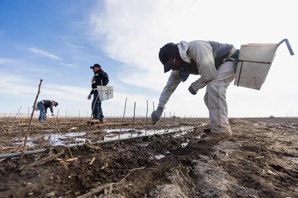 Sustainability - Healthy Soil